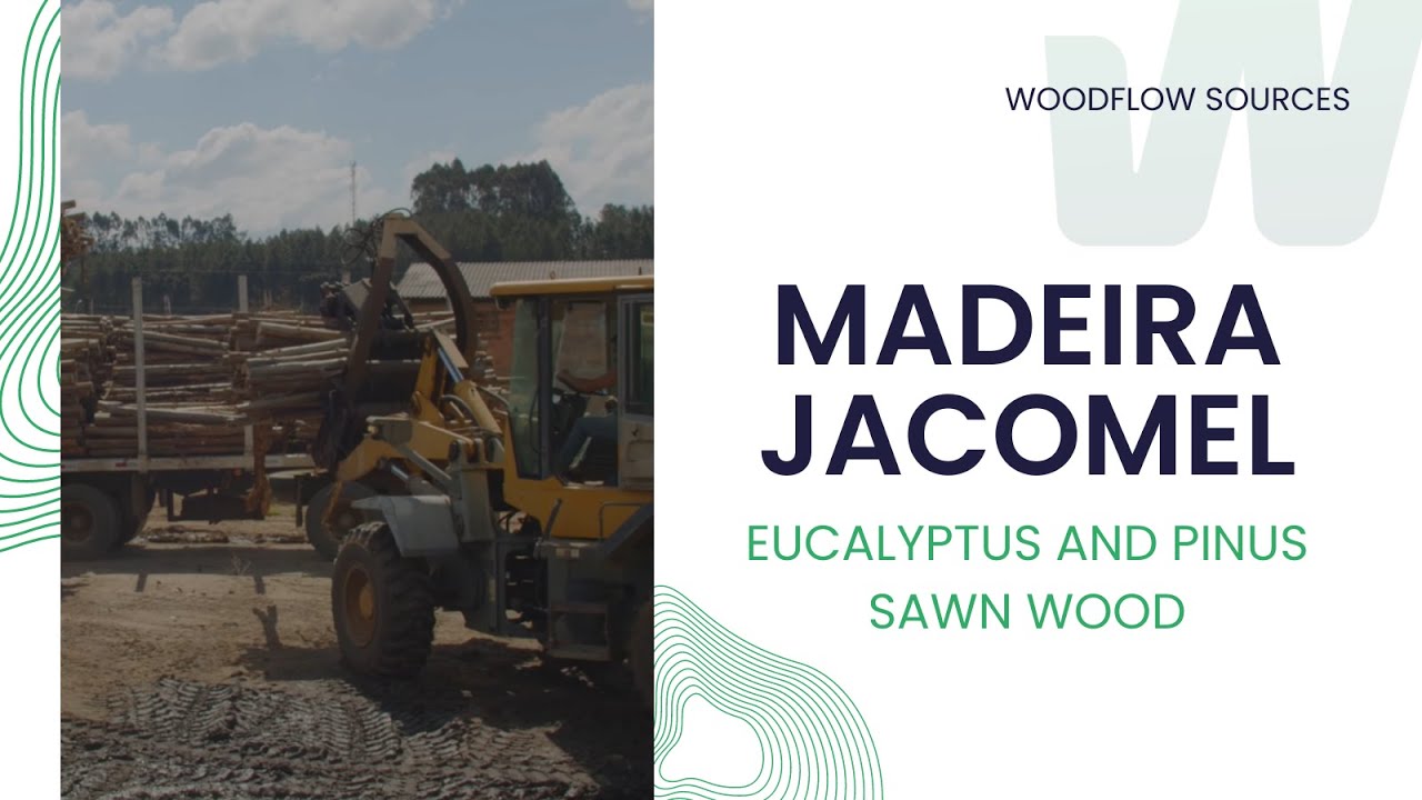 Madeira Jacomel: Exploring Eucalyptus and Pinus Sawn Wood Manufacturing