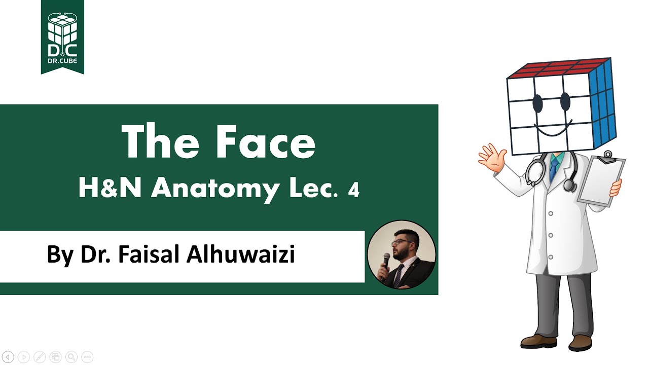 The Face, H&N Anatomy Lec. 4