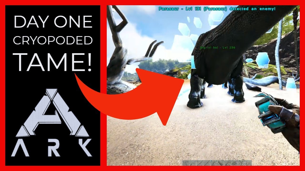 The Start Up! - Trio Tribes Episode #1!