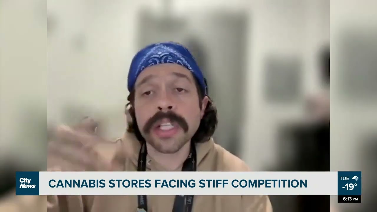 Alberta marijuana shops deal with oversaturation, prices difficulties