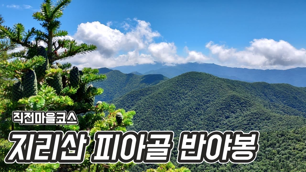 지리산 피아골계곡 | 반야봉 | 2025-06-29