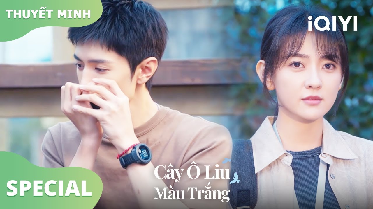 Tống Nhiễm chọn bạn trai, chọn đúng Lý Toản | Cây Ô Liu Màu Trắng4-6 | iQIYI Vietnam