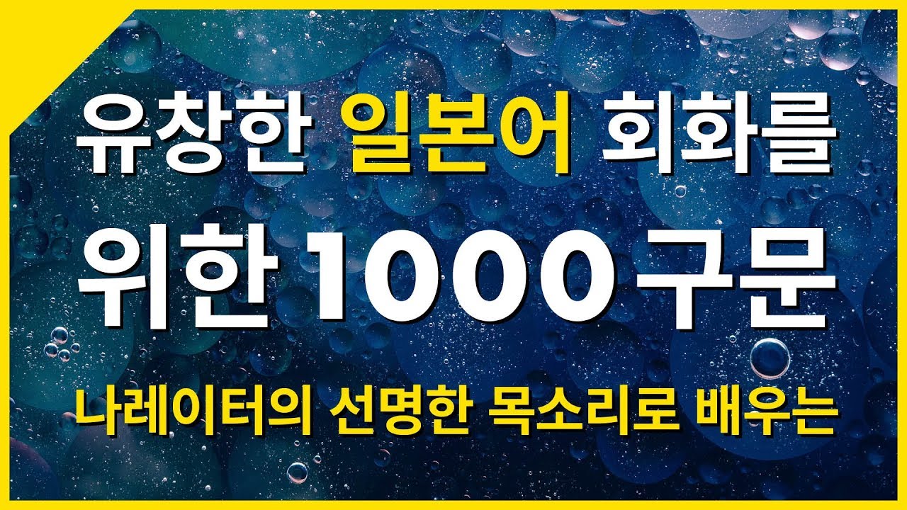유창한 일본어 대화를 위한 1000구문