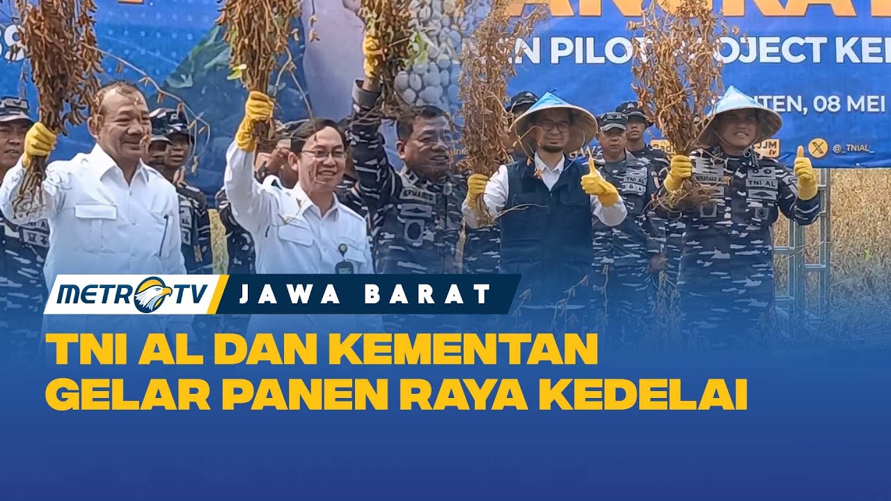 Keberhasilan Program Swasembada Pangan, TNI AL Gelar Panen Raya
