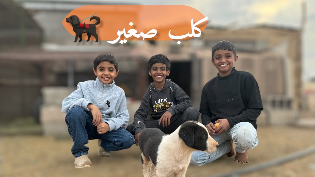 لقينا كلب صغير واخذناه المربط نربيه ونهتم فيه 🐕‍🦺❤️‍🩹