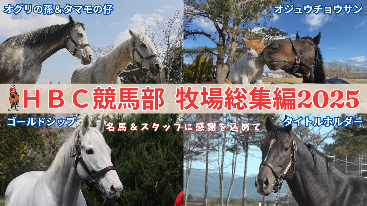 【総集編】ゴルシにタイトルホルダー、ジャックドール・・・牧場巡り2025