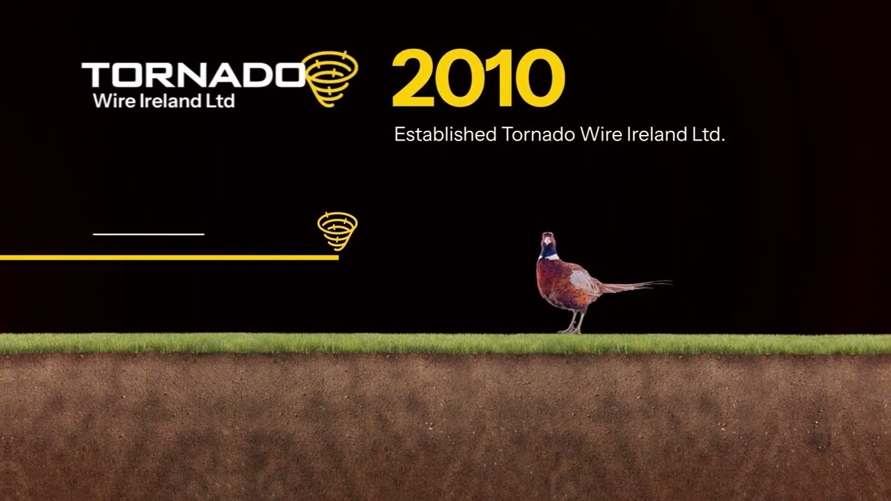 Tornado Timeline | Our Journey Through Innovation
