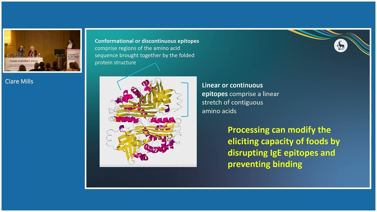 EAACI FAAM 2024 - Prof. Clare Mills