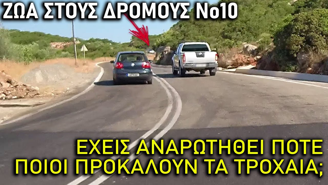 Ζώα στους δρόμους 10 | Δολοφόνοι με τιμόνι