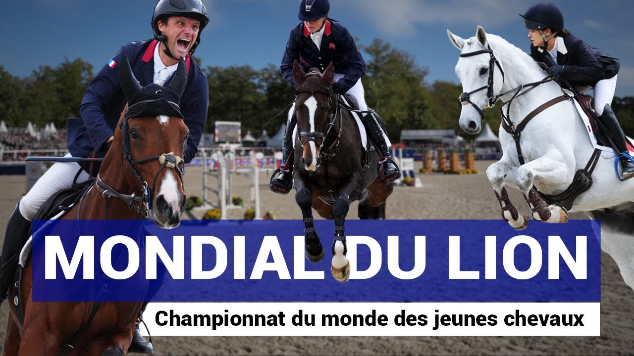Mondial du Lion 2022 : le championnat du monde des jeunes chevaux
