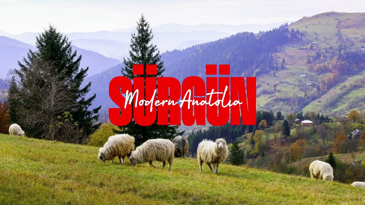 Sürgün