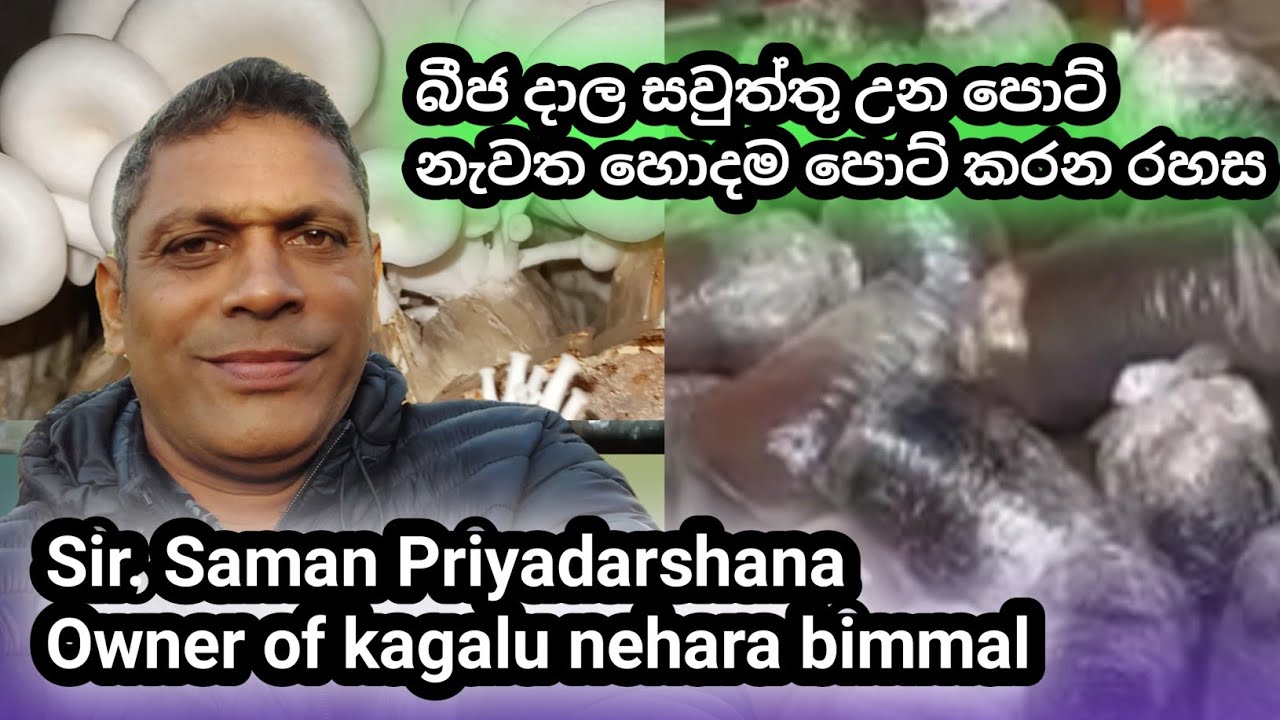 බීජ දාල සවුත්තු උන පොට් නැවත හොදම පොට් කරන රහස / sir  Saman Priyadarshan/ kagalu nehara bimmal 