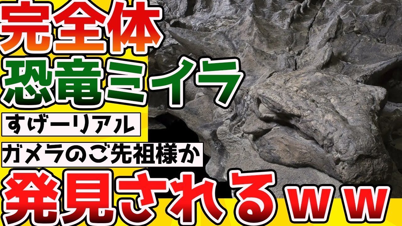【2ch動物スレ】世界一完璧に保存された「ノドサウルス」の化石ミイラ、「ボレアロペルタ」がかっこよすぎると話題に【生き物】