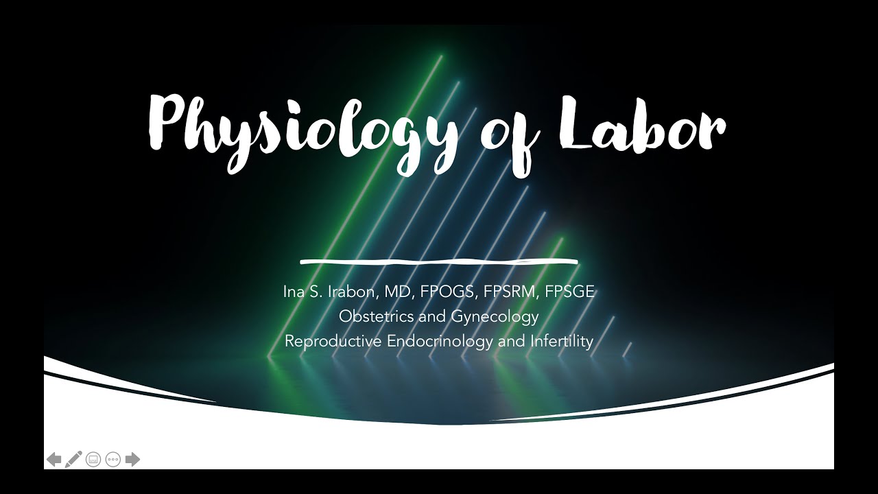 Physiology of labor