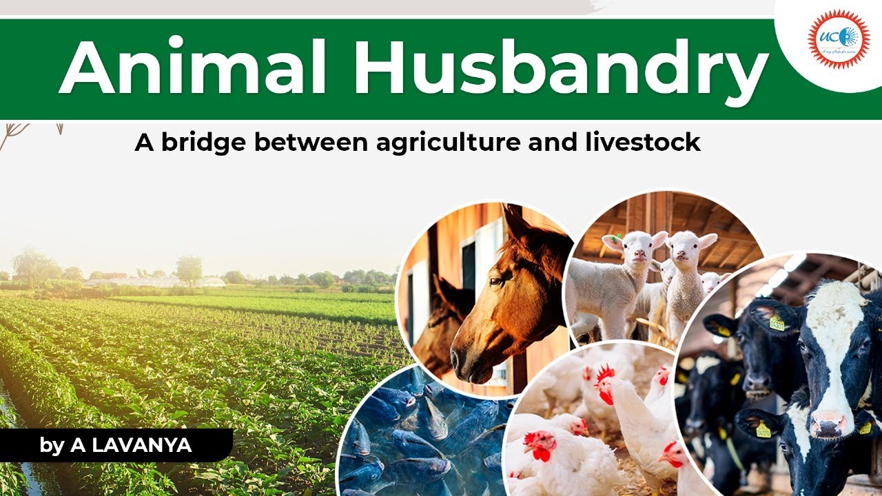 Animal Husbandry: Empowering Rural India & Shaping a Sustainable Future