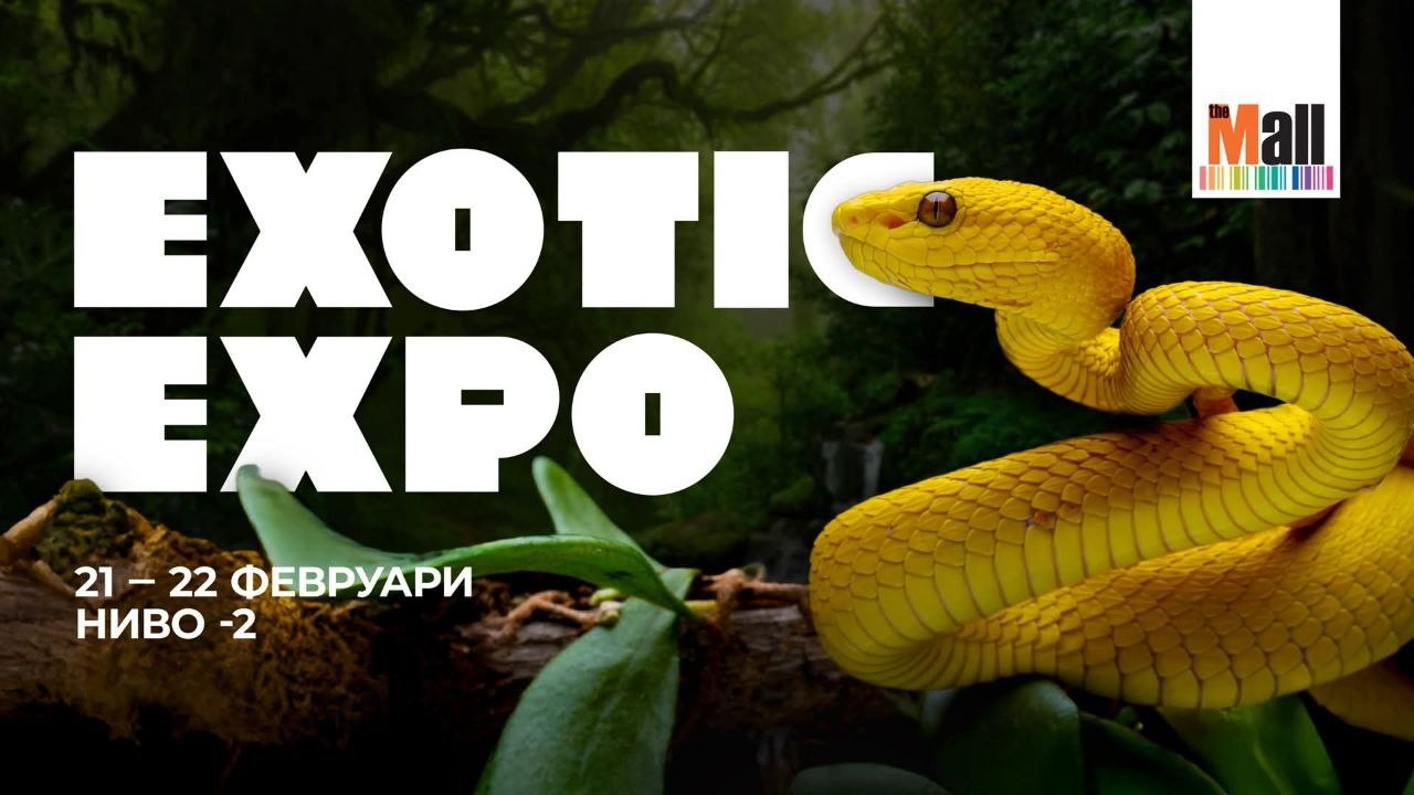 Exotic Expo в The Mall 21-22.02.2026