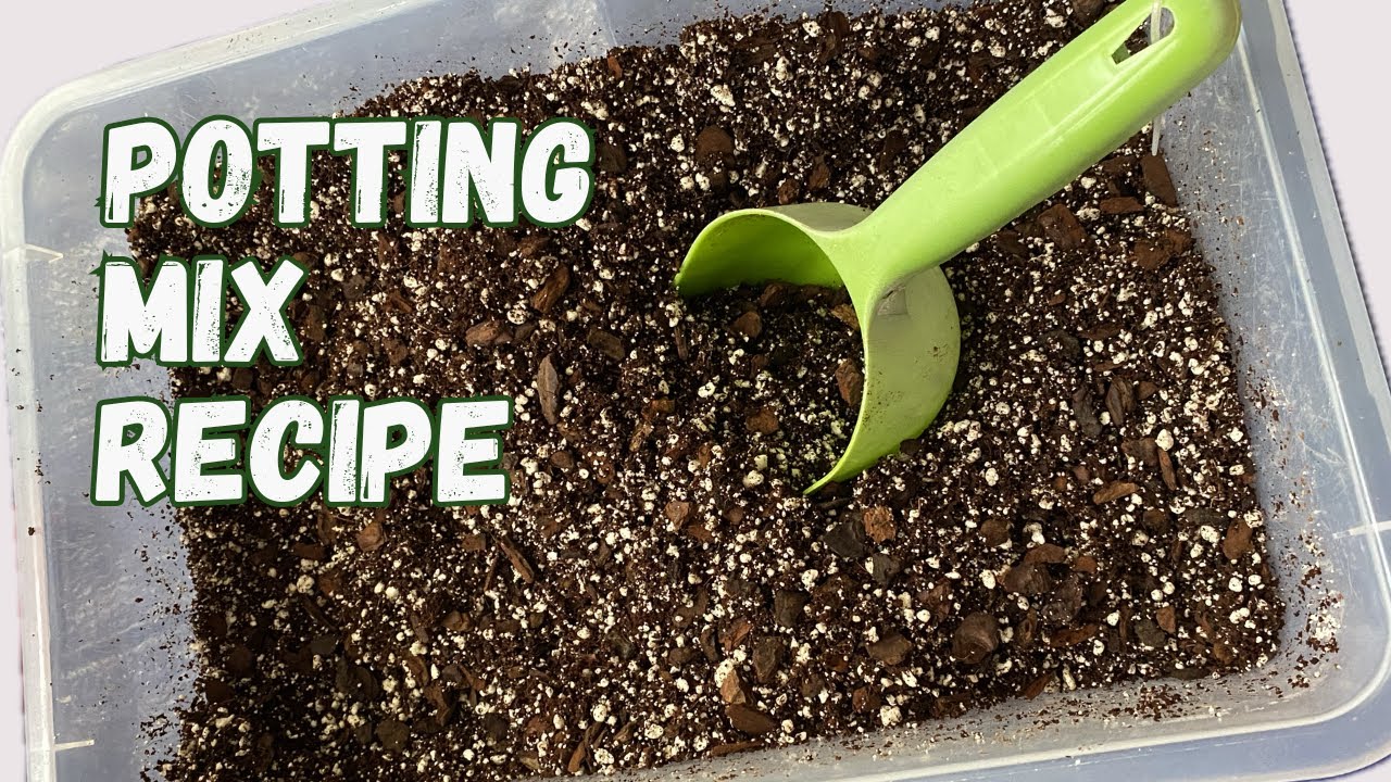 HOW TO MAKE Soilless Potting Mix For Indoor Plants
