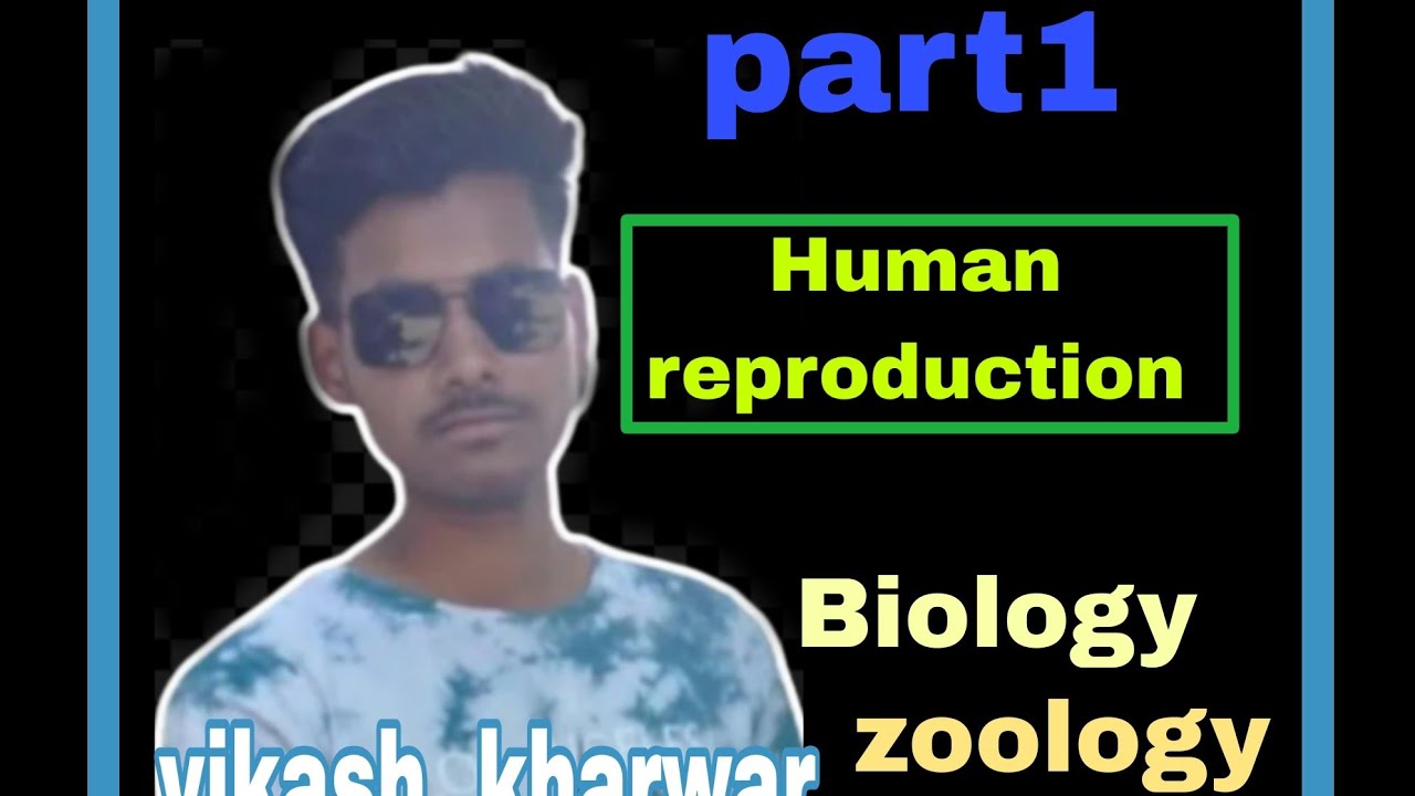 Human reproduction  introduction,  manaw jann kya hota hai