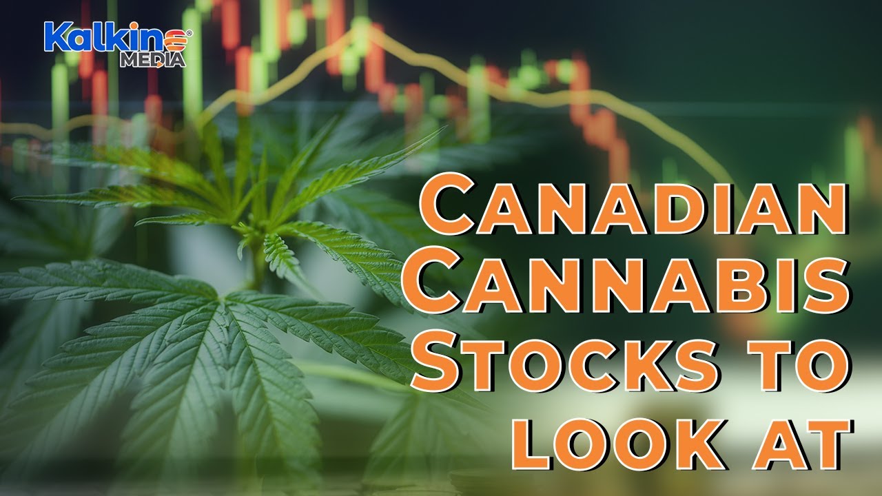 Which Canadian Cannabis Stocks Should You Be Looking At?