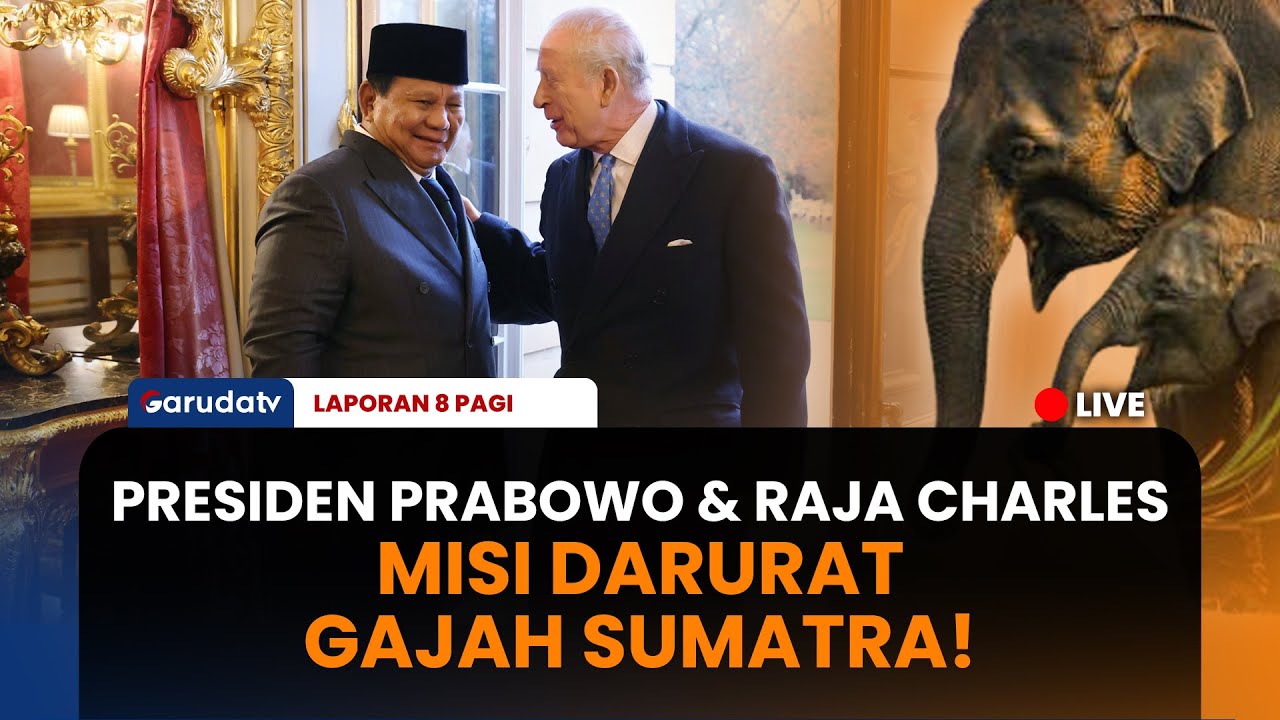 Momen Akrab Presiden Prabowo & Raja Charles III , Bahas Misi Rahasia Selamatkan Gajah Sumatra