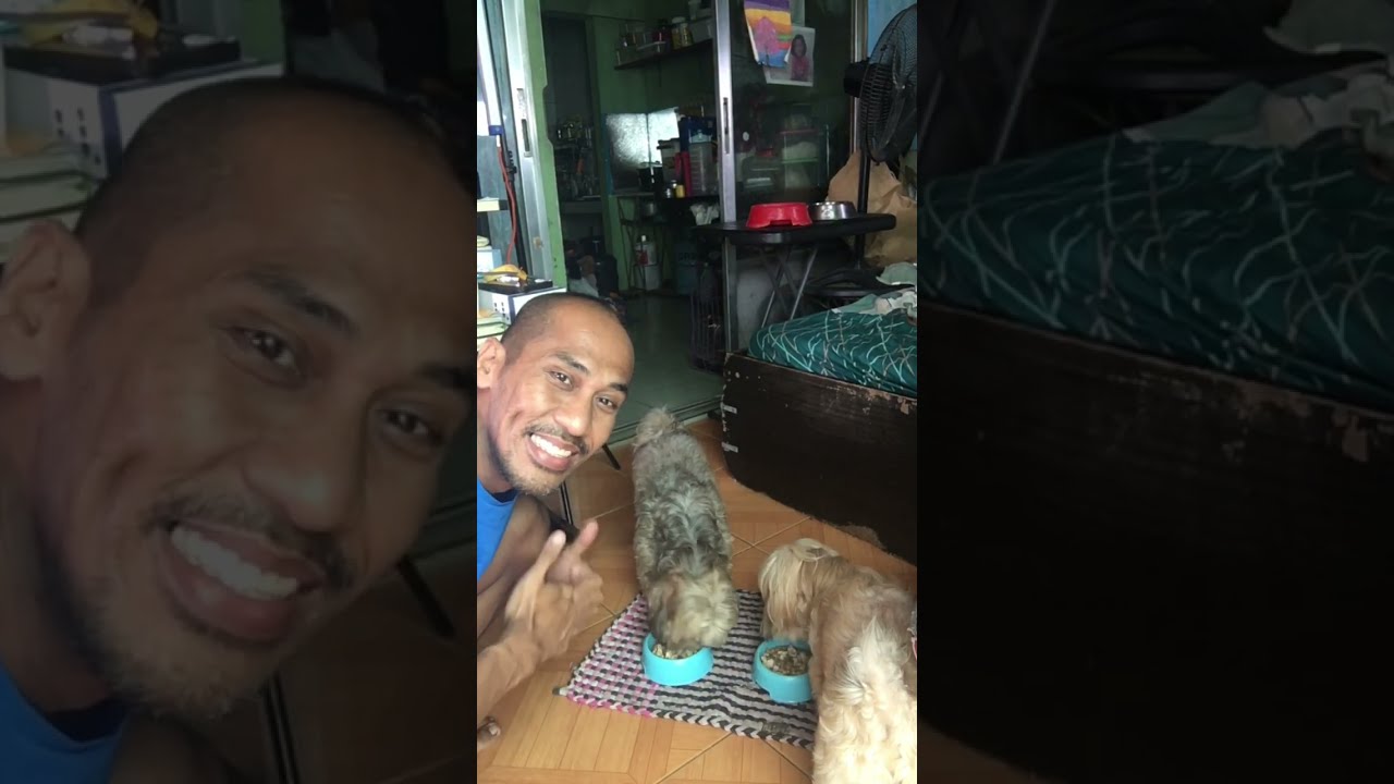 My Daily Routine as Furparent #furparents #doglover #dog