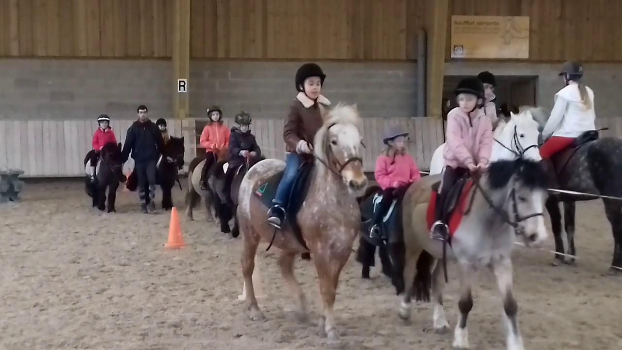 Cour d équitation qui tourne mal
