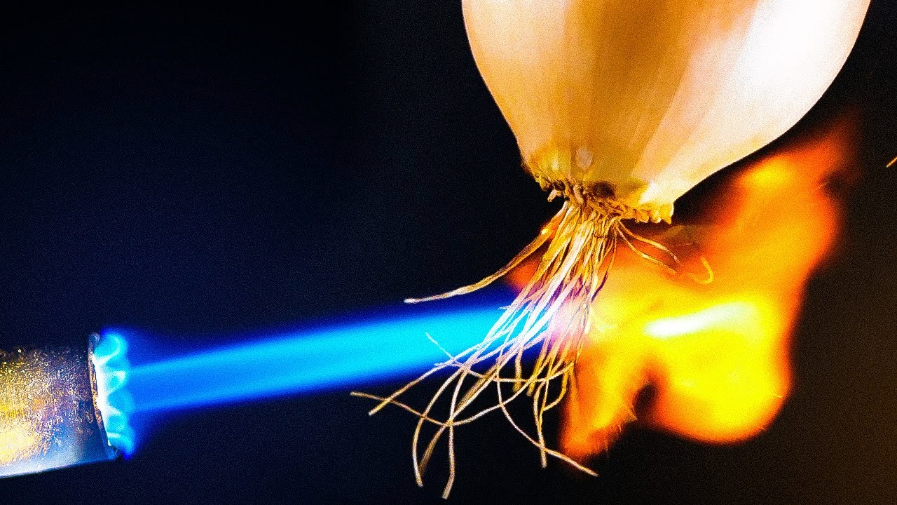 33 KITCHEN hacks to PRESERVE YOUR FOOD