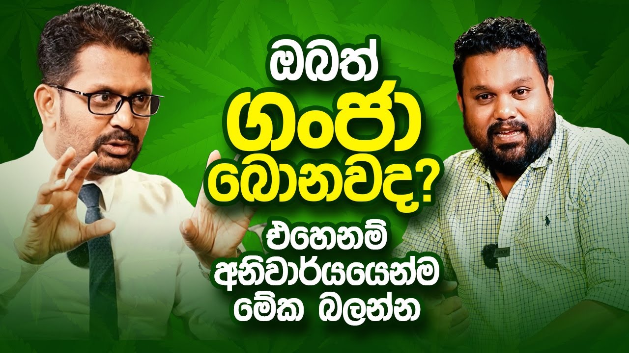 '' ගංජා මනෝභ්‍රාන්තියෙන් පසු, ඊළඟට ඔබ කොයිබටද? ''