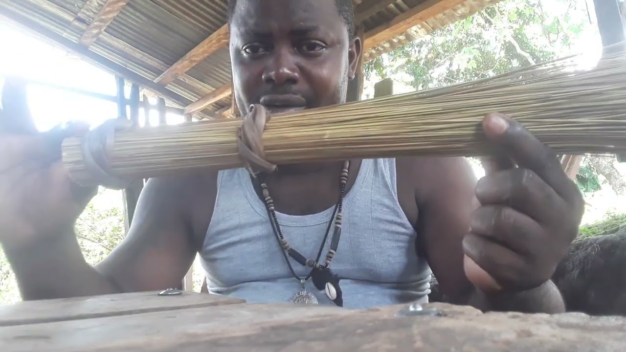 Le chasse-mouche chez les PUNU  🇨🇬🇬🇦