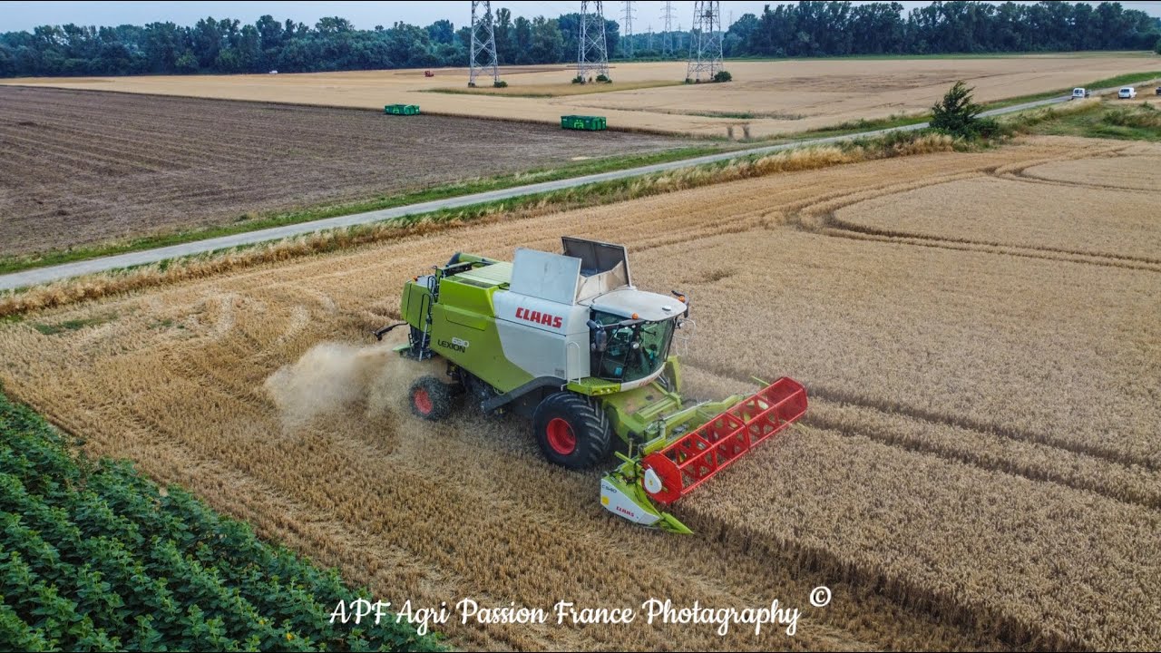 🇫🇷 Moisson Blés 2022 !! Claas Lexion 630 Montana / C540 | ETA Jassereau Yannick