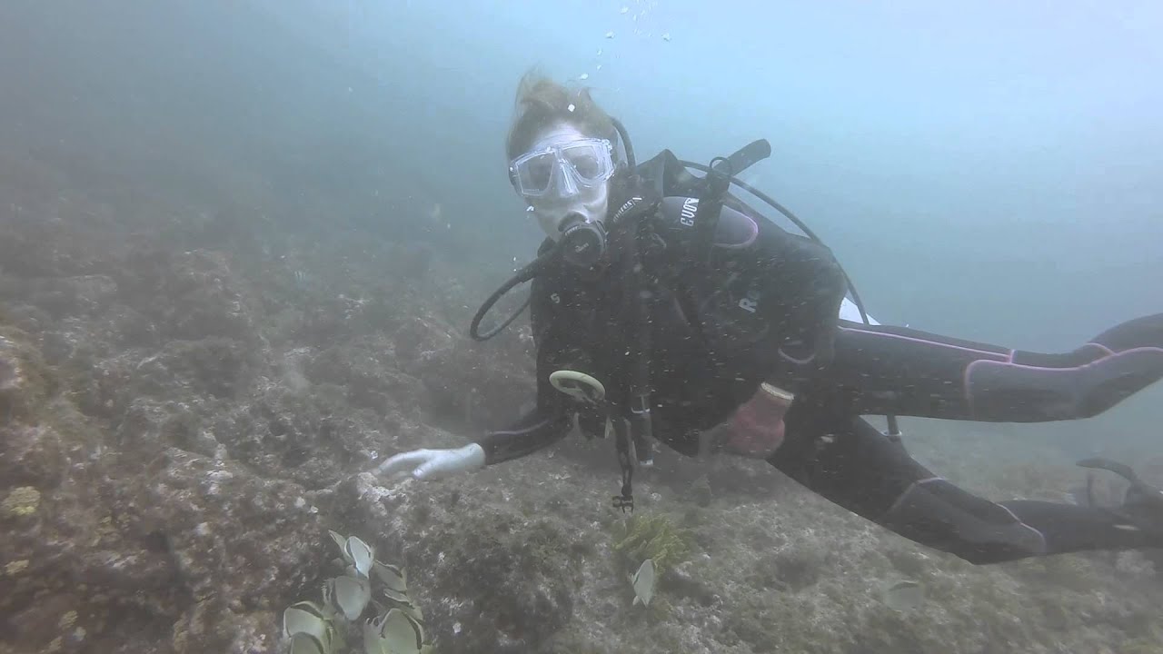 Scuba Dive Salango-Ecuador Gopro Hero3+ HD