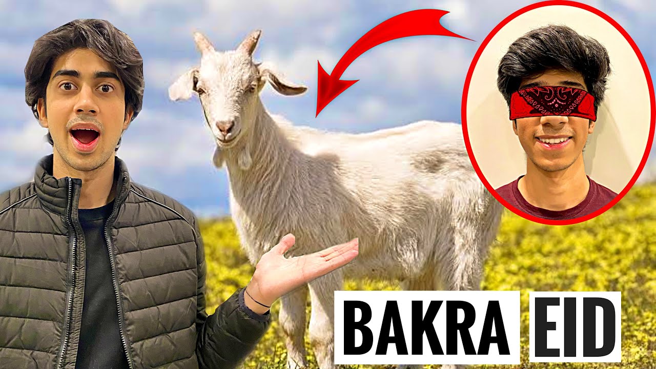 SURPRISING MY BROTHER WITH HIS DREAM BAKRA!!