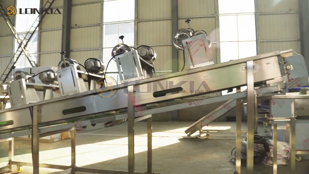 1.5t/h onion peeling machine vegetables peeler fruit washer and air dryer onion dicer