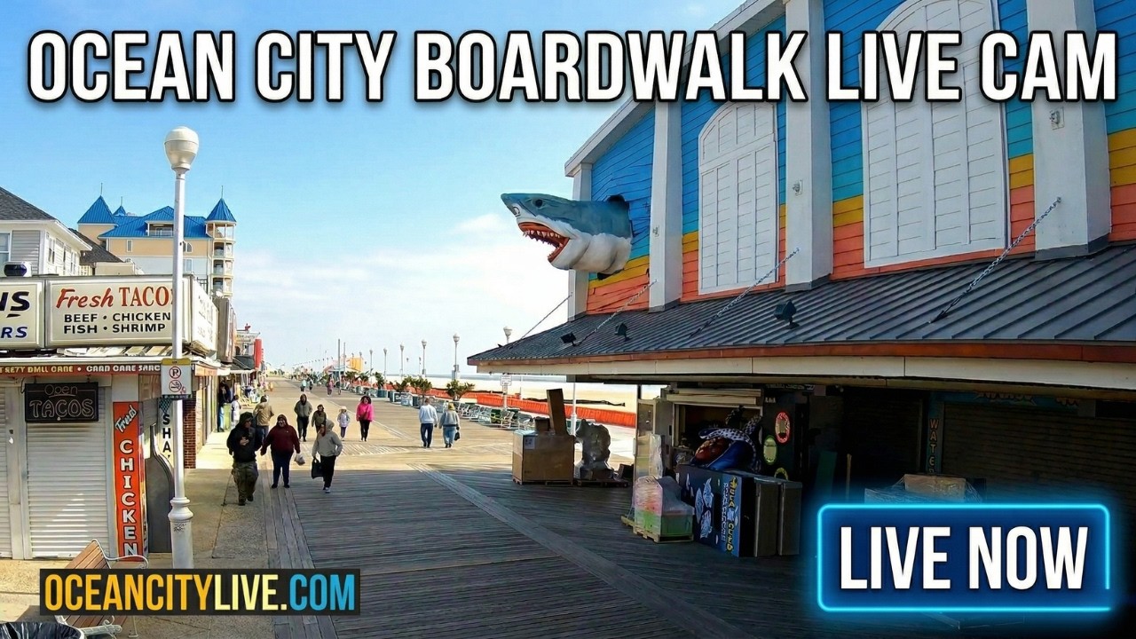 Ocean City MD Live Cam | Dolle's North View