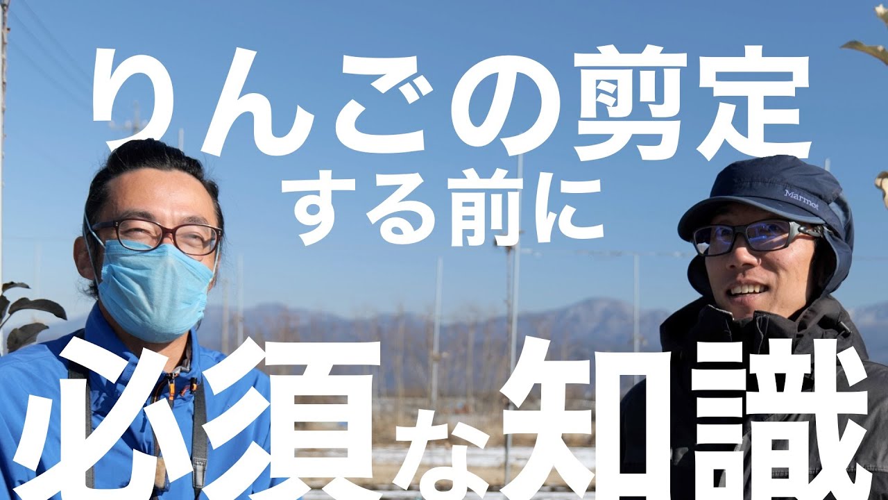 りんごの剪定(垣根) -覚えておきたいこと-【初心者向け/僕もです。】