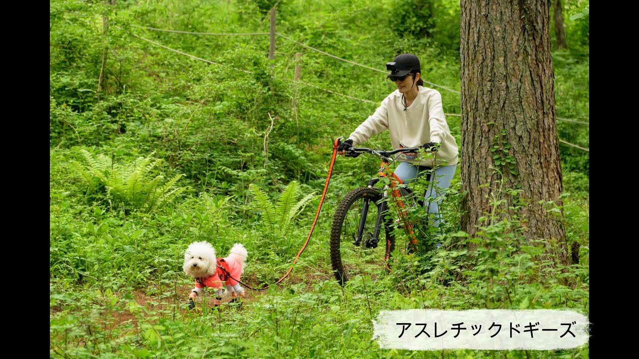 アスレチックドギーズ 2025