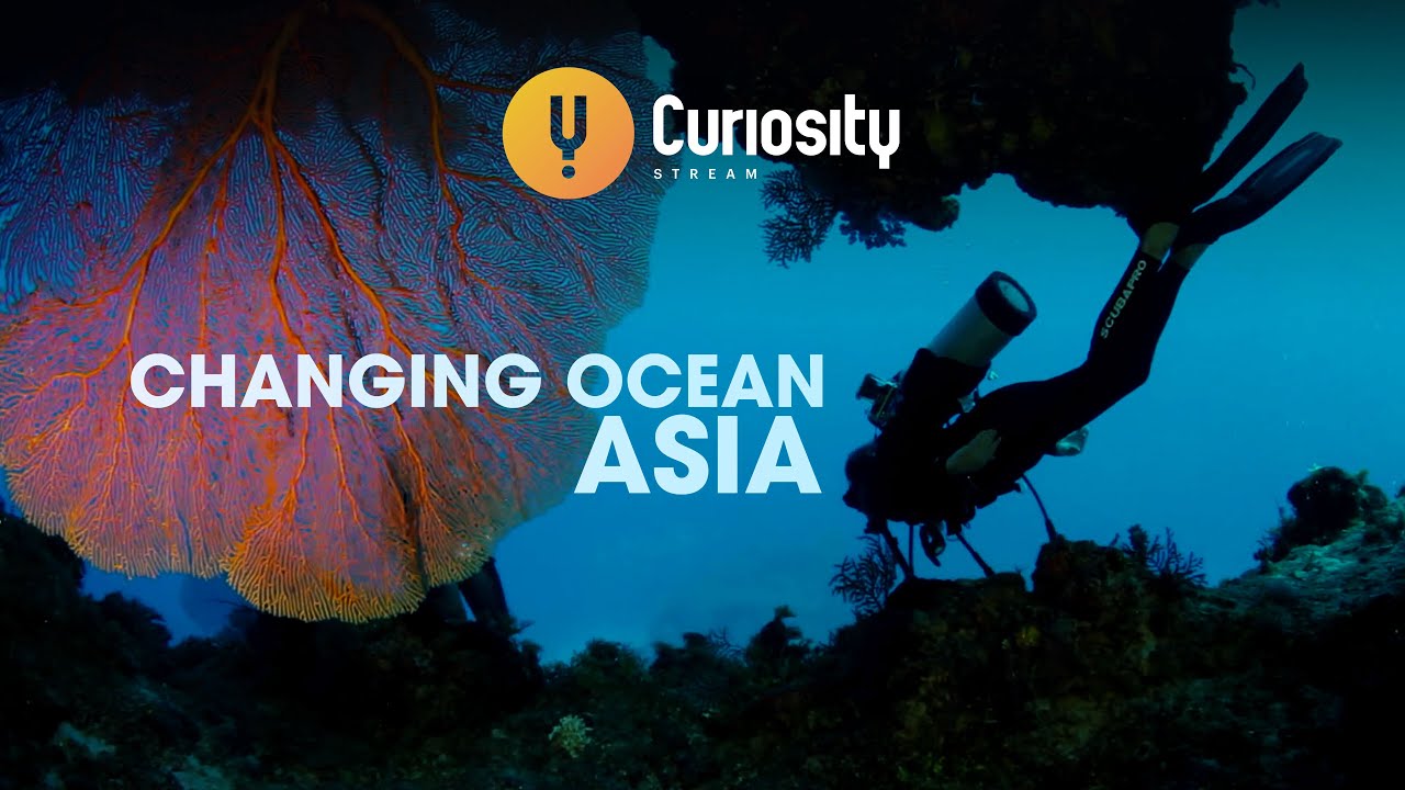 Super Corals are Resisting Climate Change: Asia's Changing Oceans