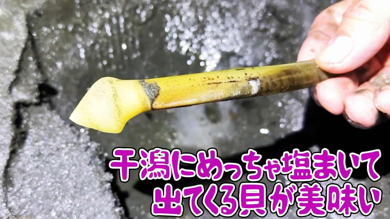 干潟にめっちゃ塩まいたら美味い貝がにょきにょき出てきた
