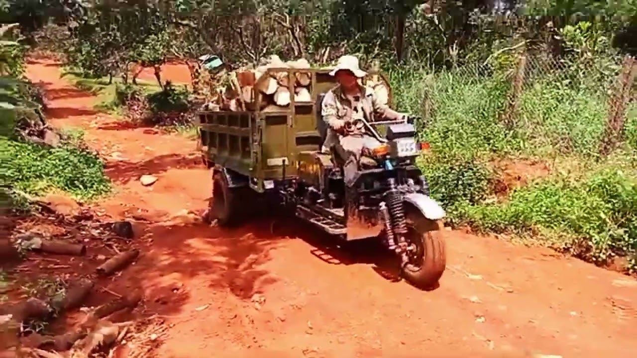 Xe ba gác bánh đôi chở củi lên dốc xuýt bị nhóng đầu. (Modified tricycle carrying firewood uphill)