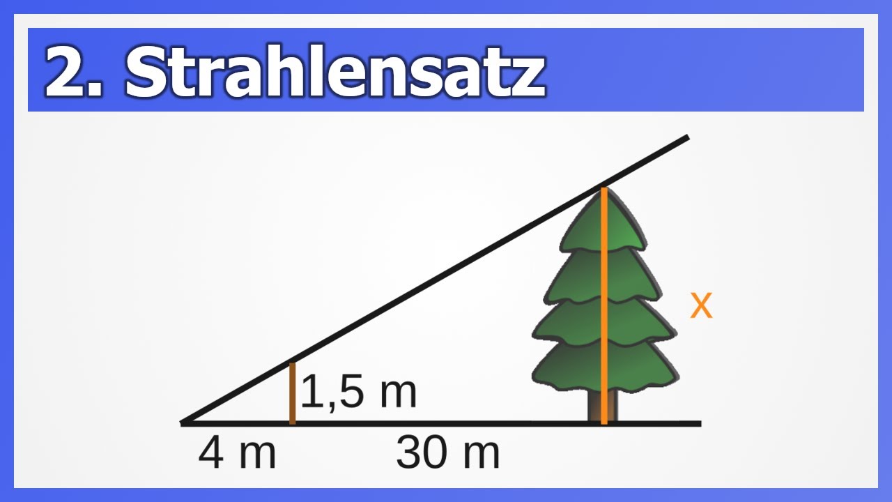 2. Strahlensatz einfach erklärt mit Anwendungsbeispiel | How to Mathe