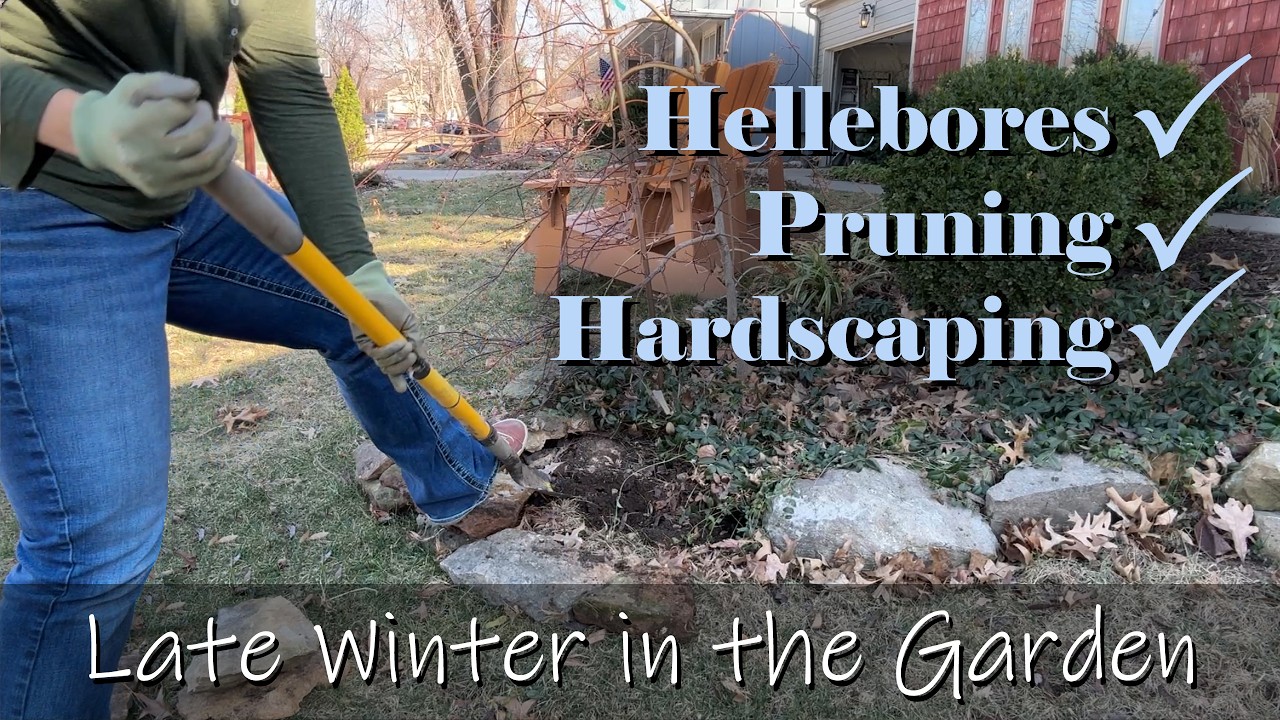 Hellebores, Pruning & Hardscaping | Late Winter in the Garden