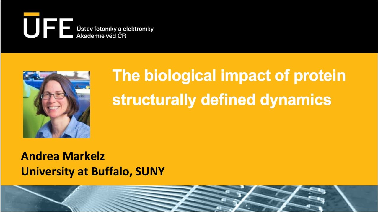 BioED webinar 5 - Andrea Markelz - The biological impact of protein structurally defined dynamics