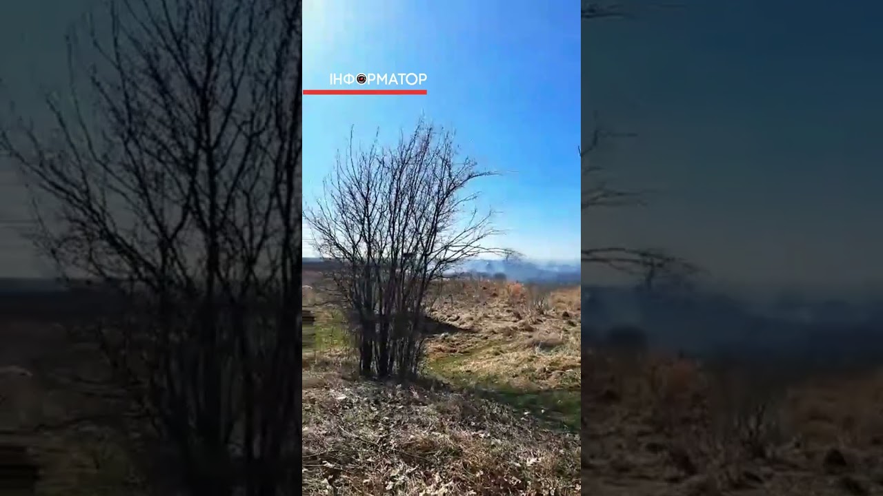 🔥 Масштабна пожежа сухої трави в Коломиї