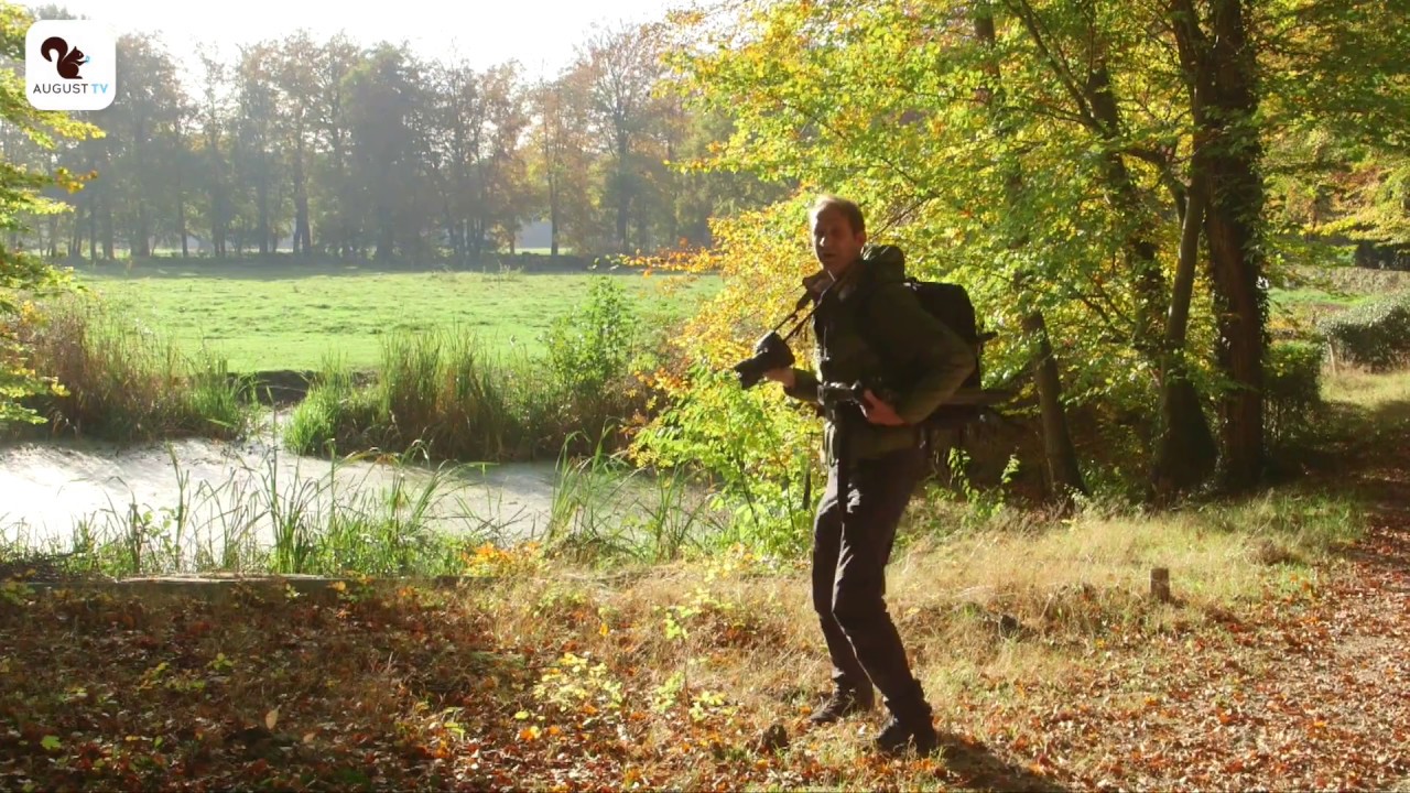 Fotograferen in de natuur - Herfstkleuren