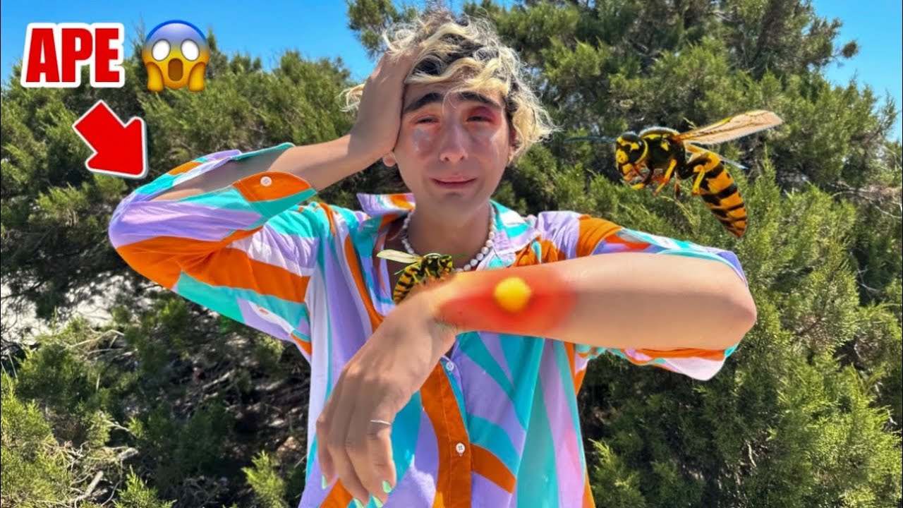 UN APE GIGANTE HA PUNTO VINCI IN VACANZA…😱😭 *andiamo al pronto soccorso*