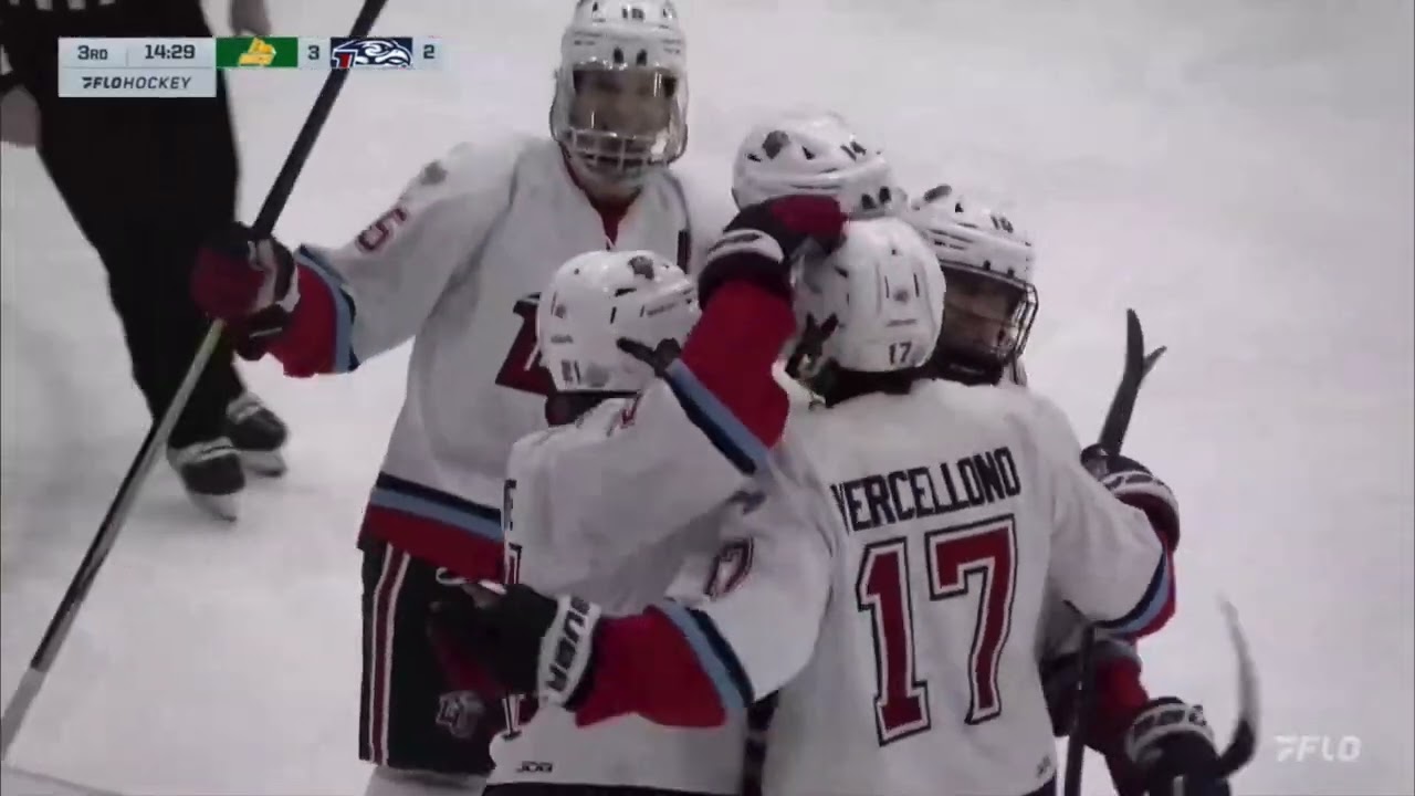 2025 ACHA Nationals: Men’s D1 - Round 2 - #20 Oswego State 3, #4 Liberty 6