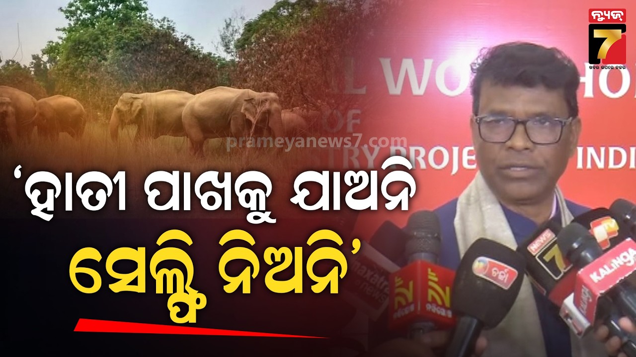 Ganesh Ram Singh Khuntia | ରାଜ୍ୟରେ ବଢିଛି  ହାତୀ ସଂଖ୍ୟା, ଜଙ୍ଗଲ ପରିସୀମା ବଢ଼ାଇବାକୁ ଚାଲିଛି ଯୋଜନା