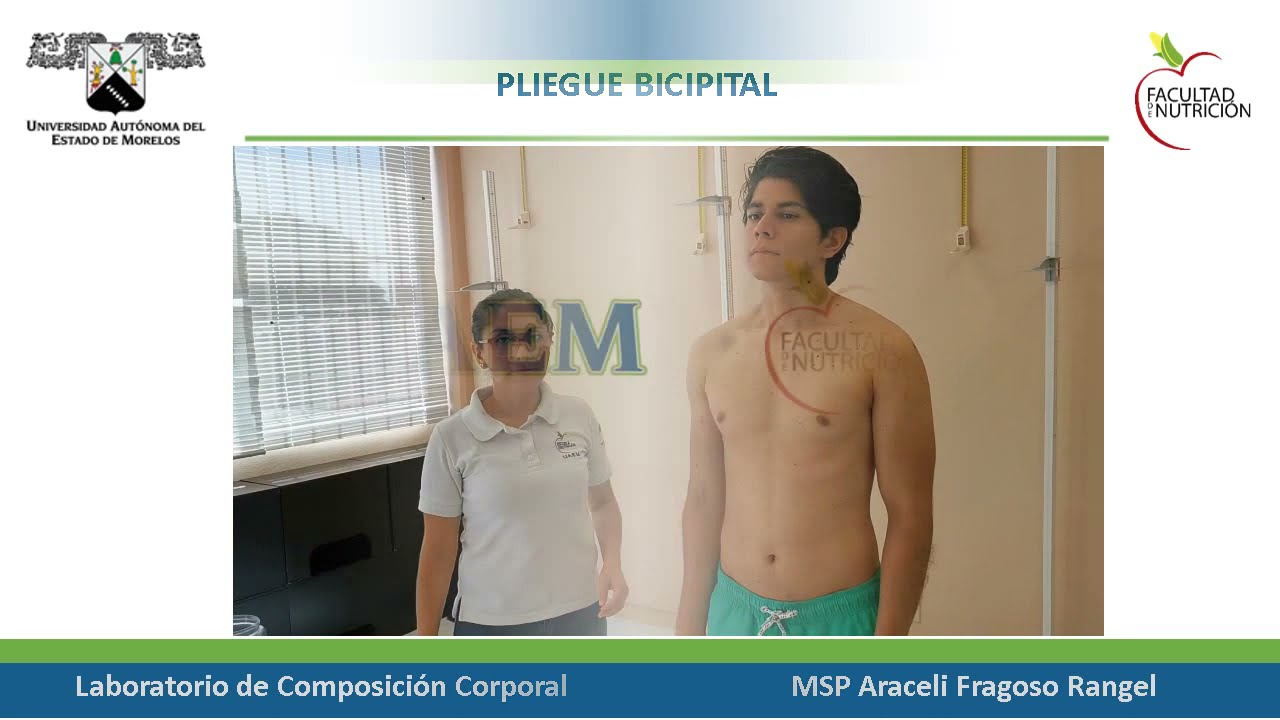 Pliegue Bicipital