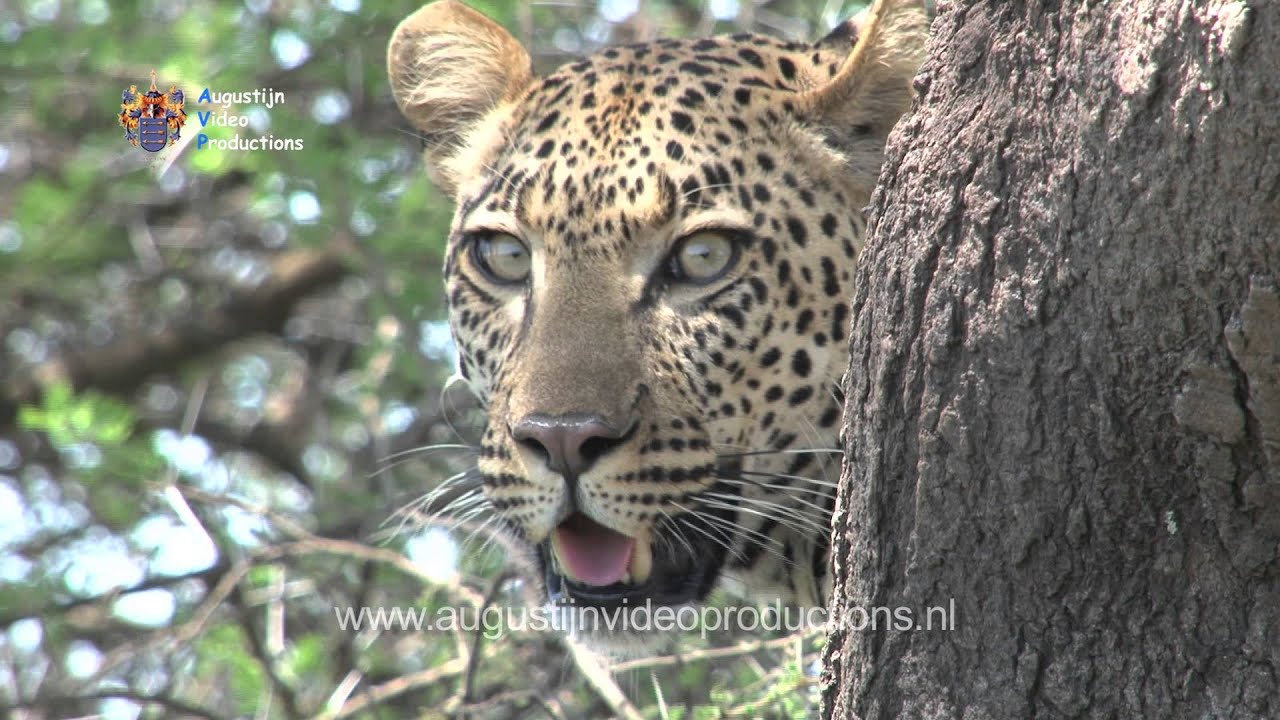 Explore Tanzania - the trailer