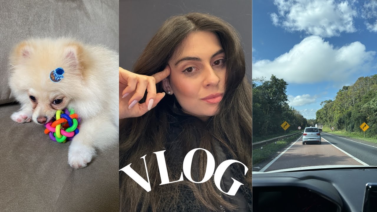 vlog: batata rosti | acidente na estrada | filme f1